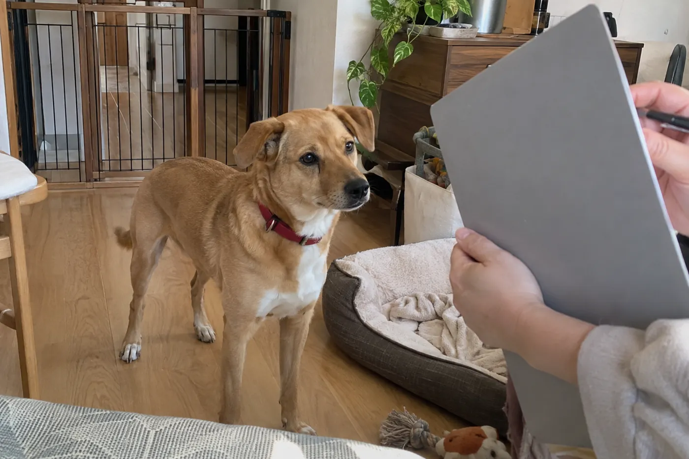 自宅の犬の居場所を確認しながらメモを取る人の手元