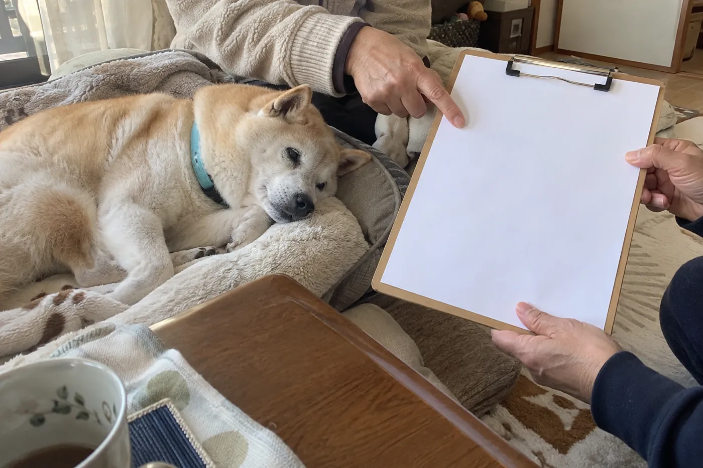 休んでいる老犬のそばで家族が介護の記録用紙を共有する様子