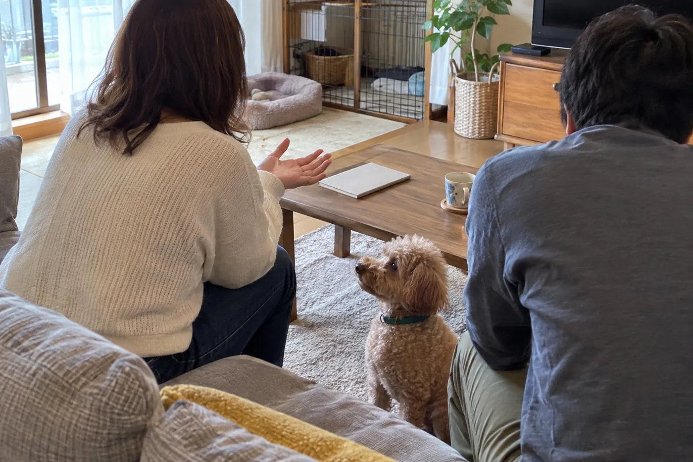 自宅で犬を見守りながら、相談相手と話す飼い主の後ろ姿
