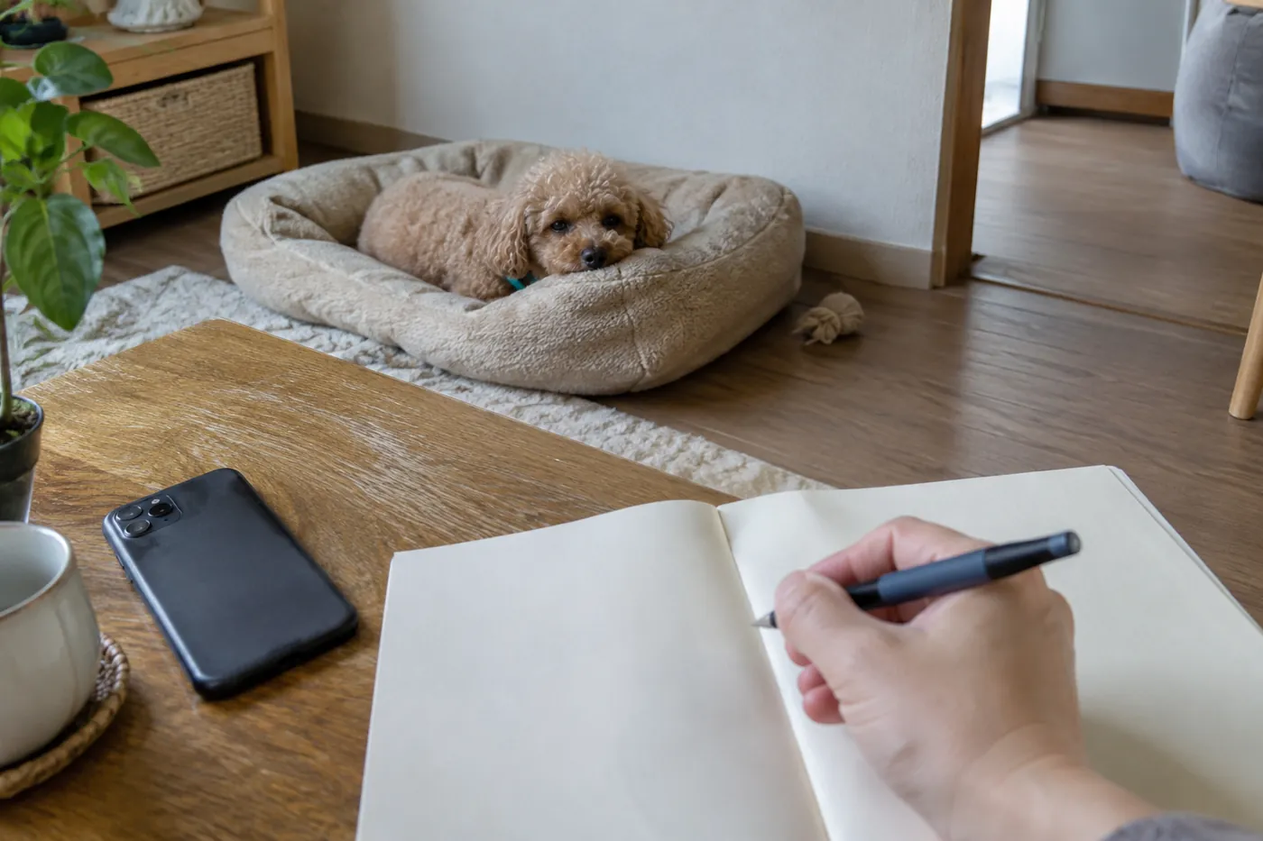 休む犬のそばに置いたノートとスマートフォンで相談の準備をする様子