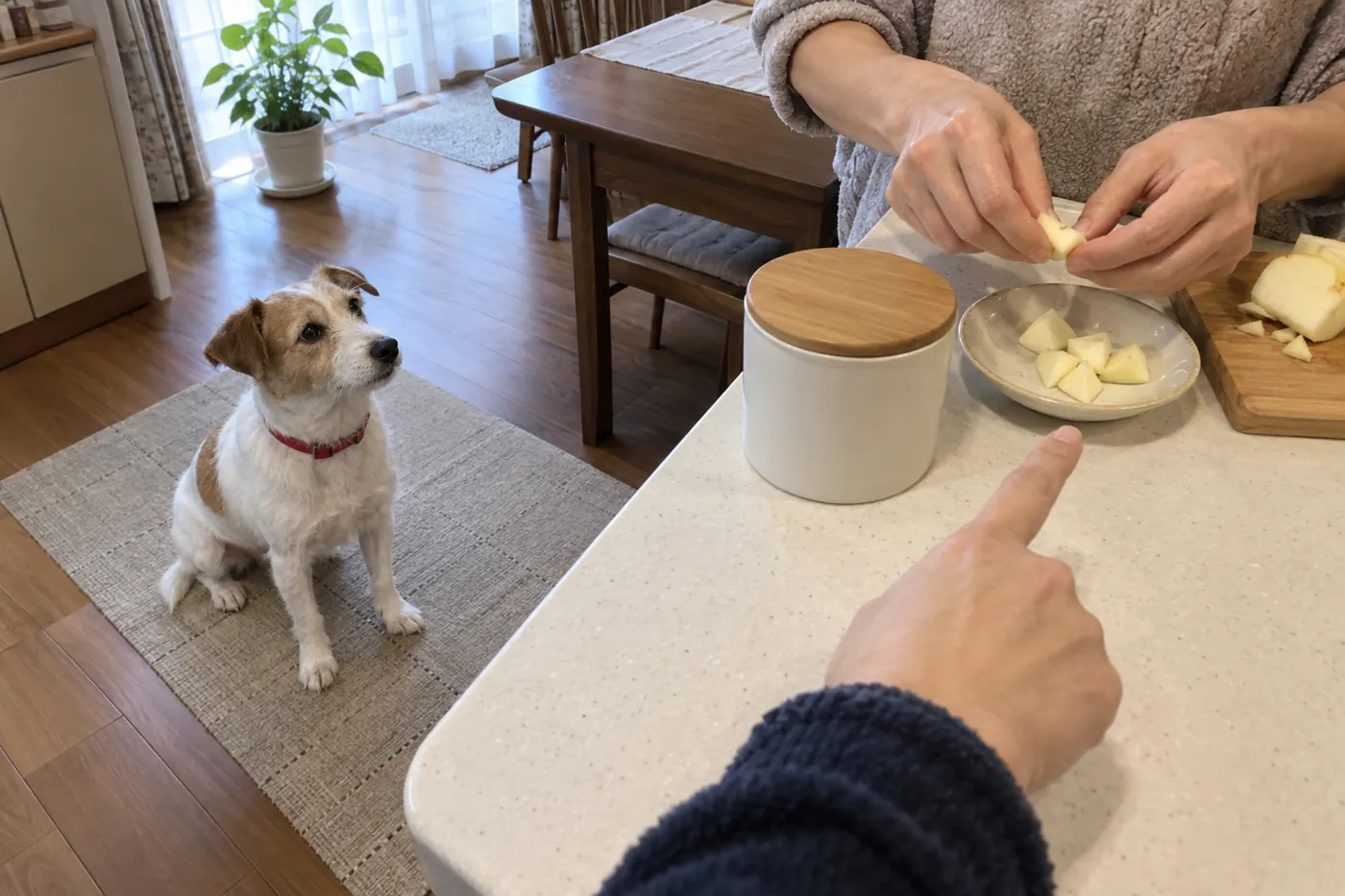 飼い主がその日のおやつを小皿に取り分け、犬がマットで待つ様子
