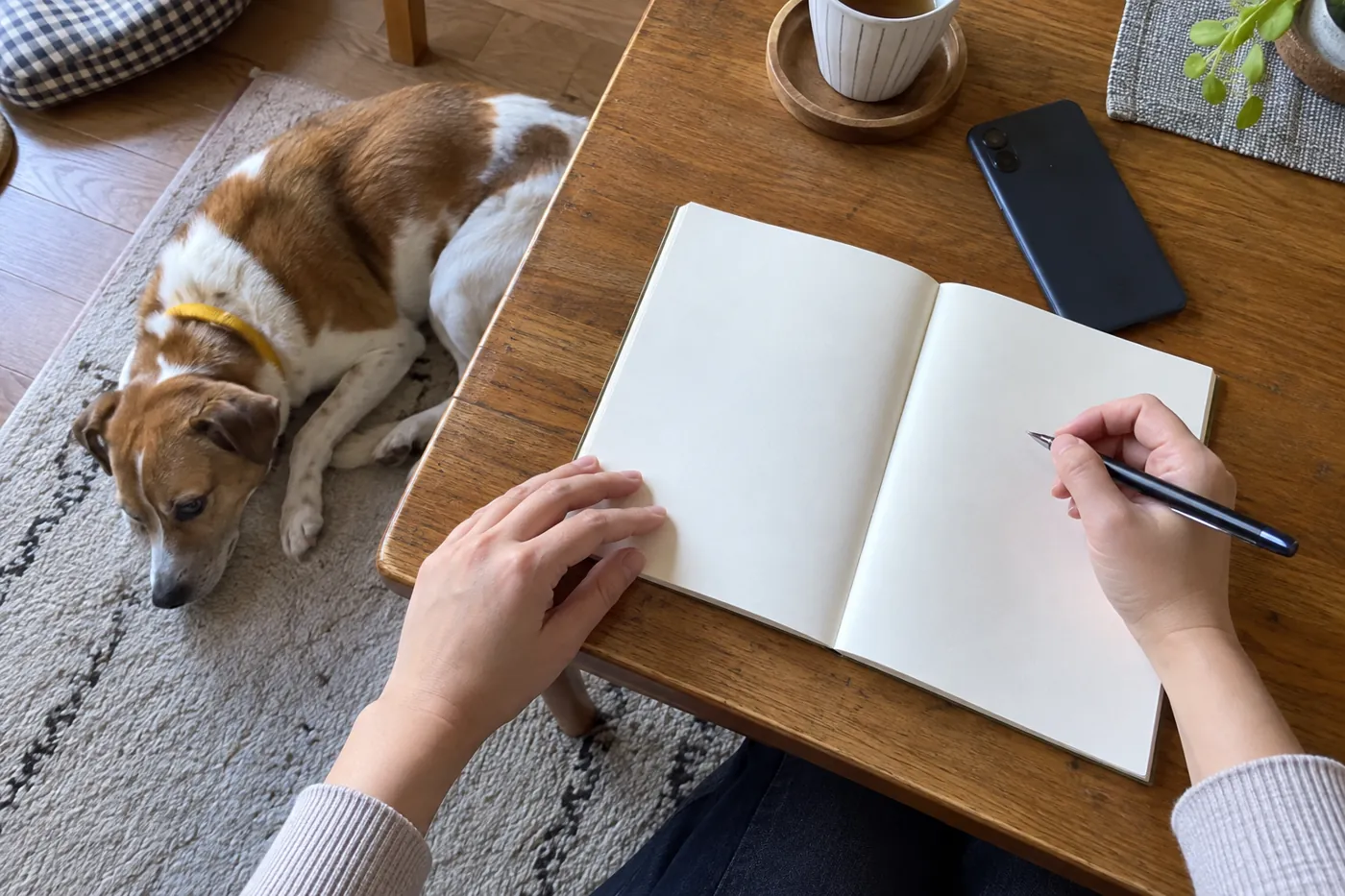 犬のそばでノートとスマートフォンを使って記録する手元