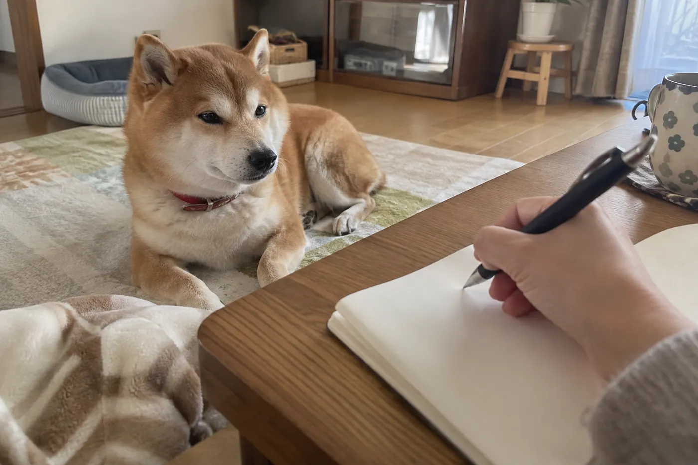 くつろぐ柴犬のそばでノートに記録する飼い主の手元