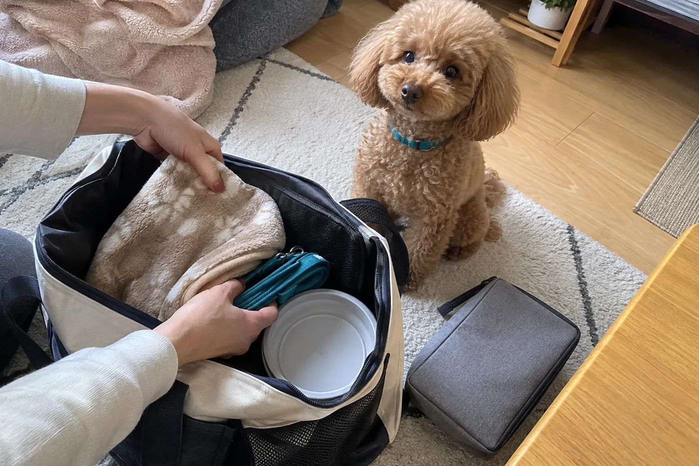 旅行用のバッグと犬用品を用意する飼い主の手元