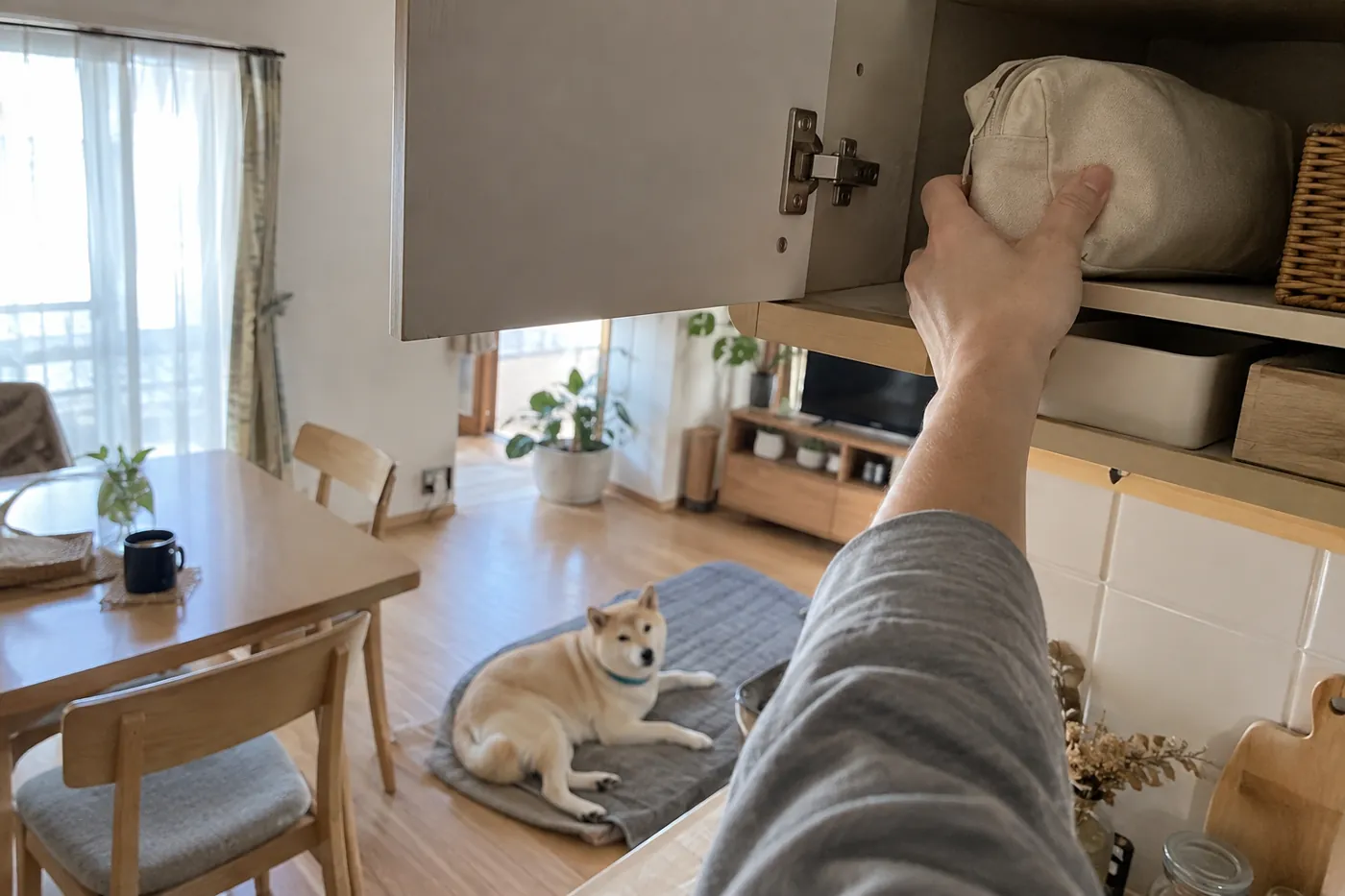 犬から離れた棚にケア用品をしまう飼い主の手元