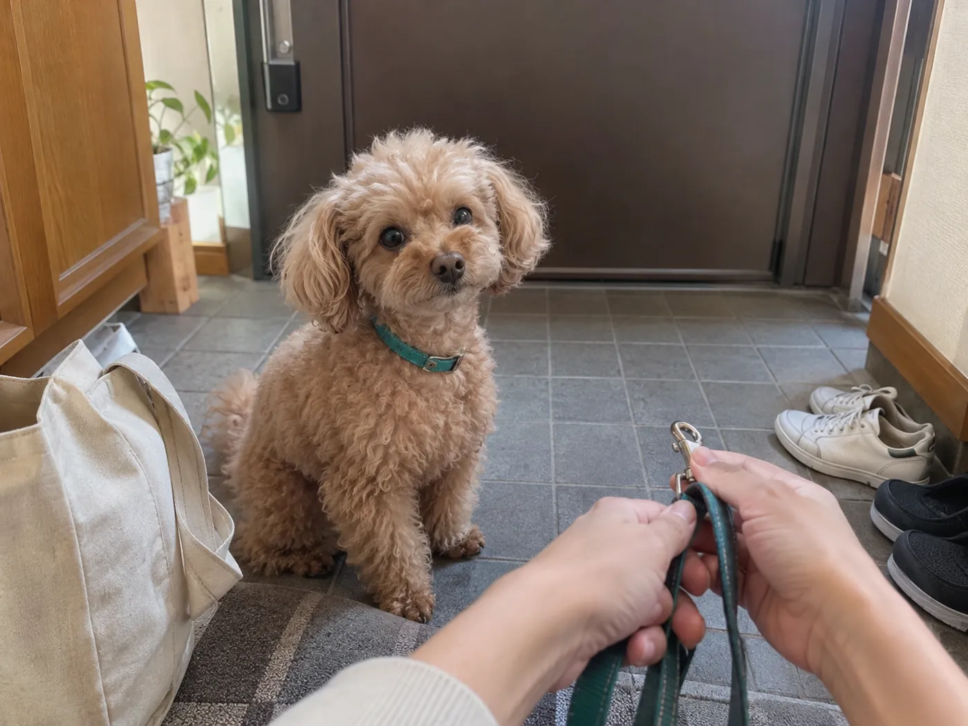 自宅の玄関で通園用のバッグとリードを用意する飼い主と犬