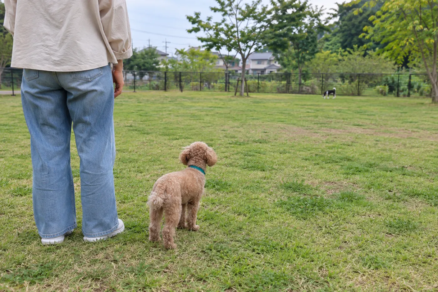 ほかの犬から距離を取った場所で飼い主と過ごす犬