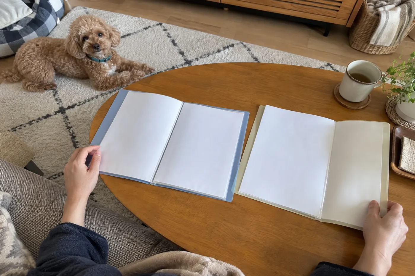 犬のそばで二つの資料を広げて条件を比べる飼い主の手元
