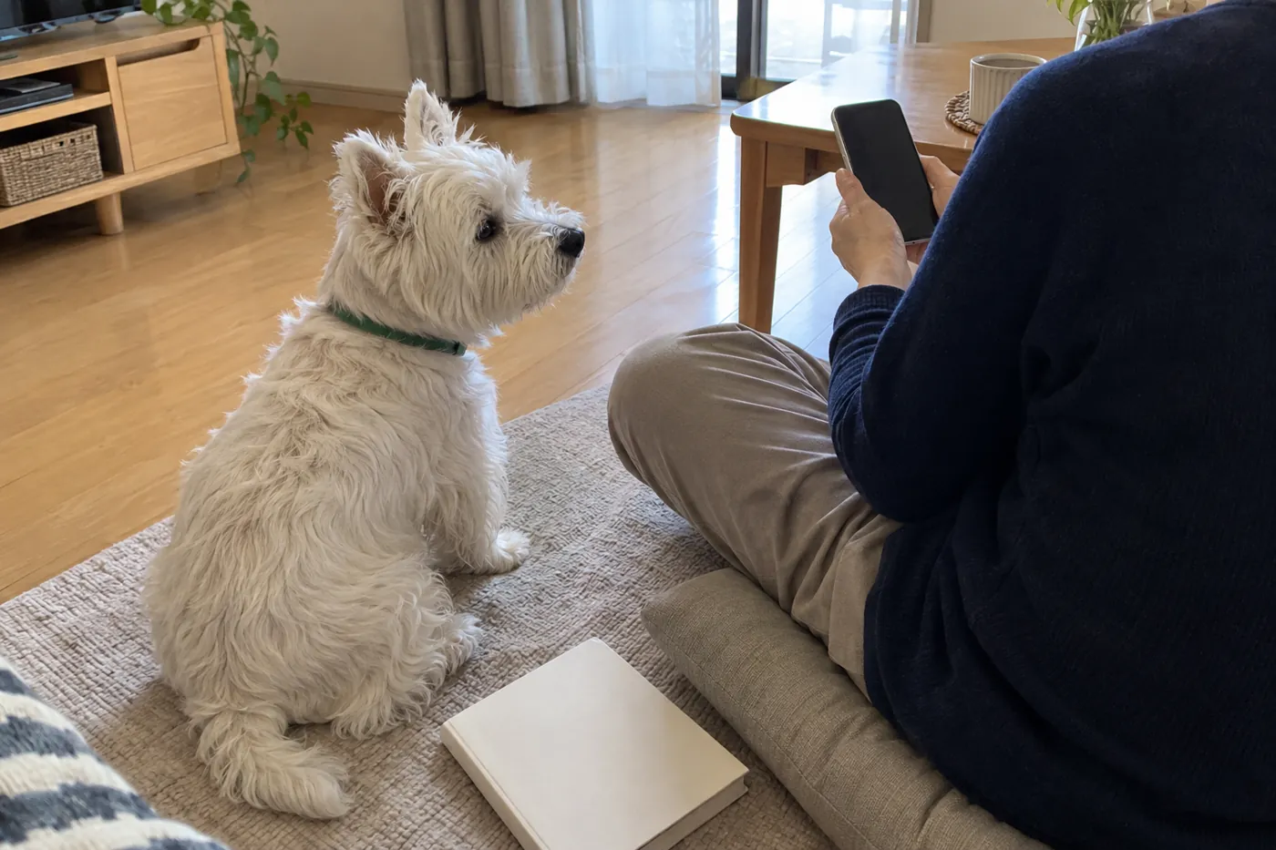 自宅で犬のそばに座り動物病院への相談内容をスマートフォンで整理する手元