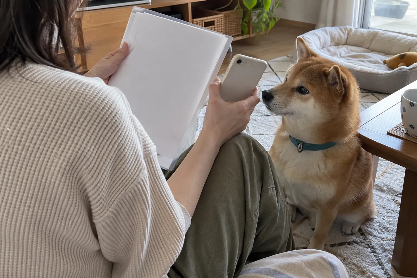 犬のそばでスマートフォンと書類ケースを手にする飼い主
