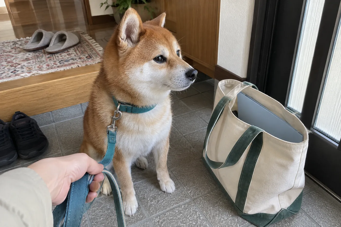 外出用のバッグの横でリードを着けた犬が待っている様子