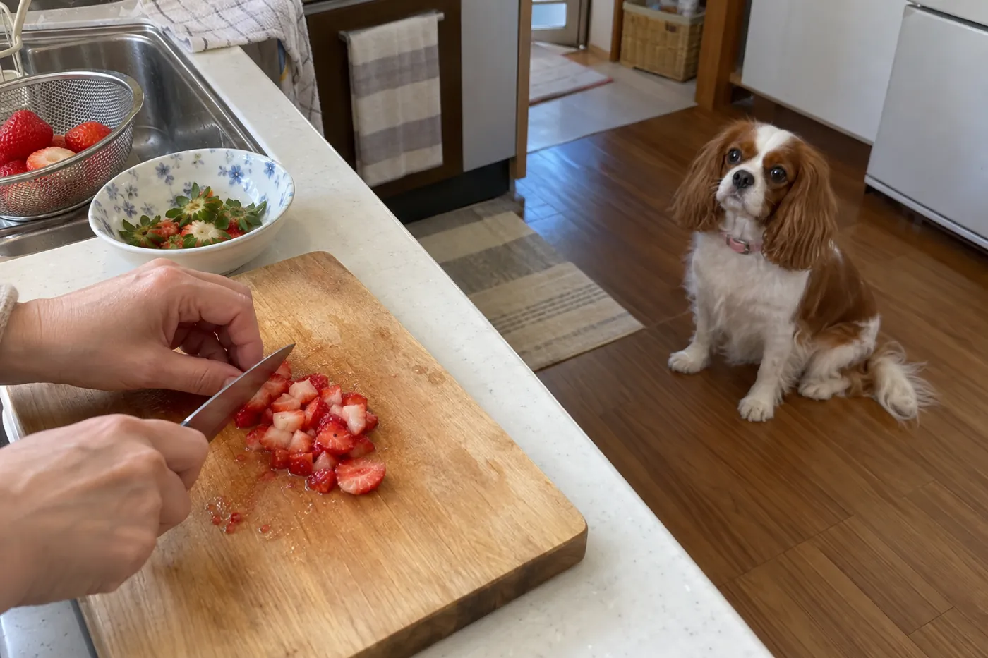 いちごのヘタを取り果肉を細かく切る飼い主の手元