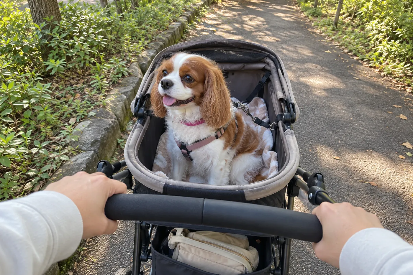 公園の通路でペットカートに乗り飼い主を待つ犬
