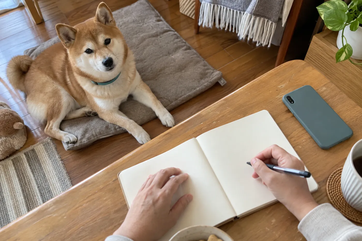 赤毛の柴犬のそばでスマートフォンとノートを使って体調を記録する飼い主の手元
