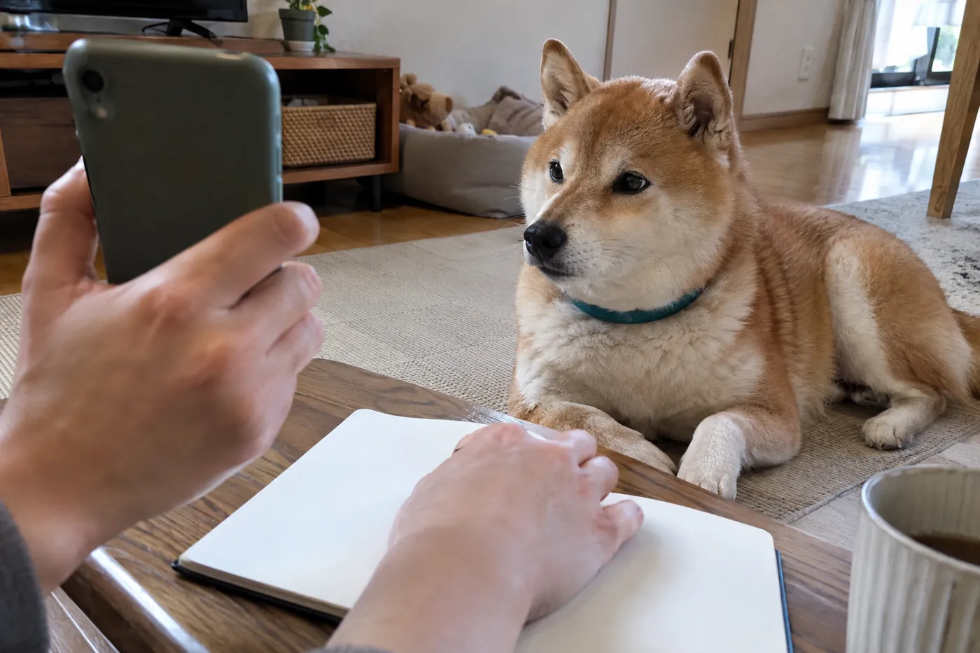 赤毛の柴犬が休むそばで、ノートを開いて電話を持つ飼い主の手元