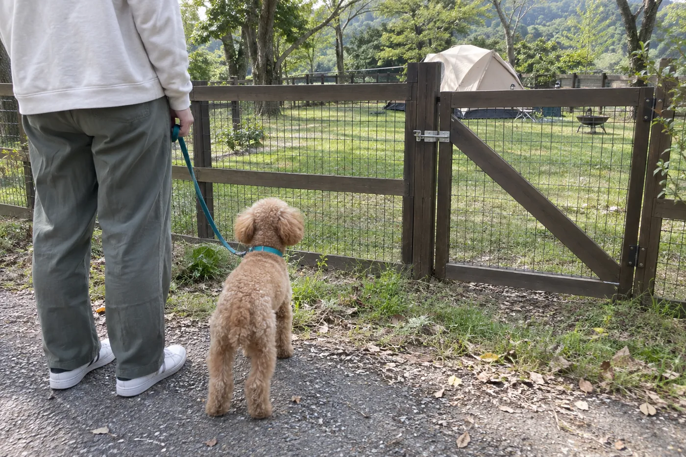 柵で囲まれたキャンプ区画をリード付きの犬と見渡す飼い主