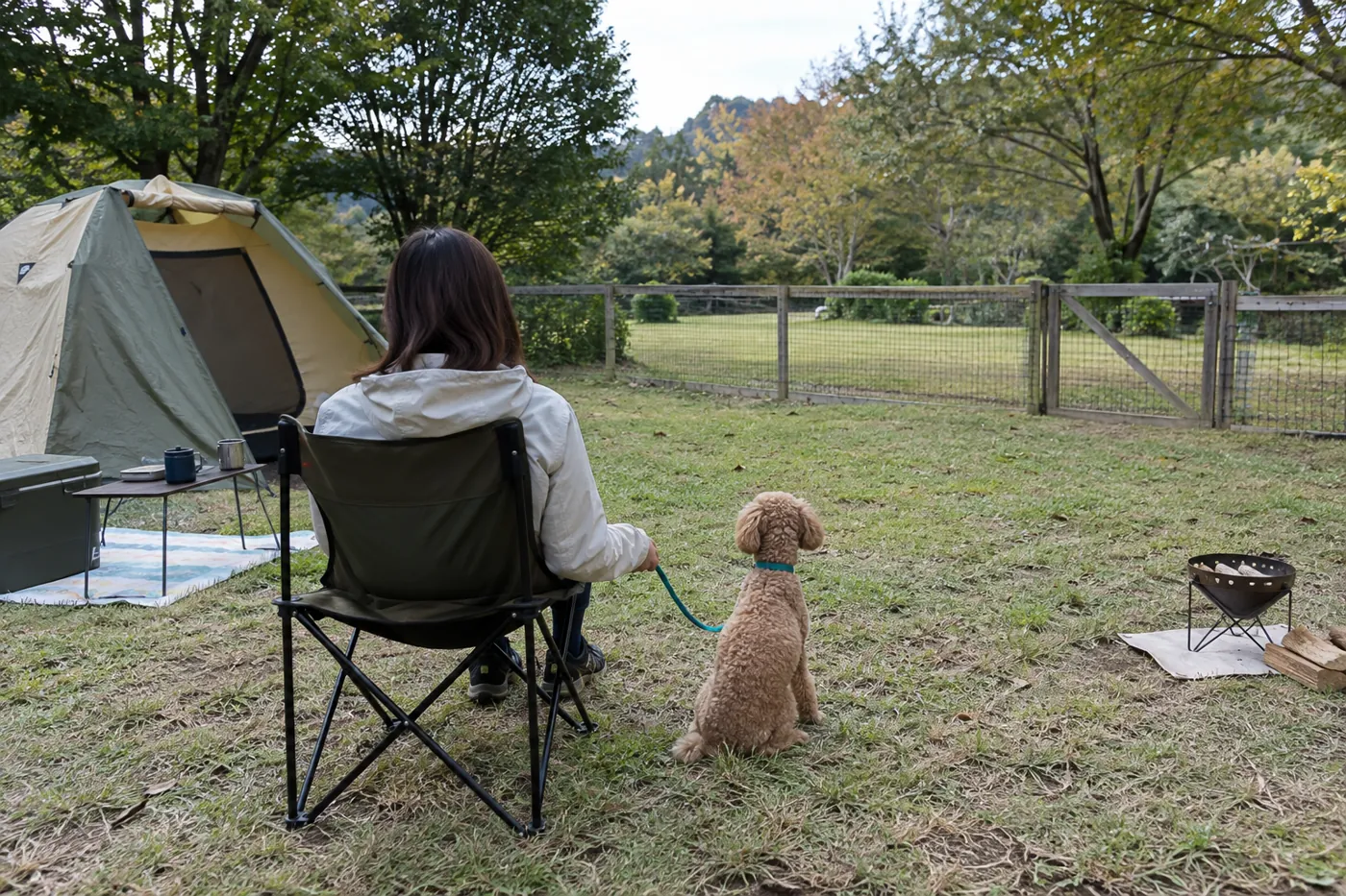 無地のテントと閉じた柵のある区画で、飼い主と落ち着いて過ごす犬