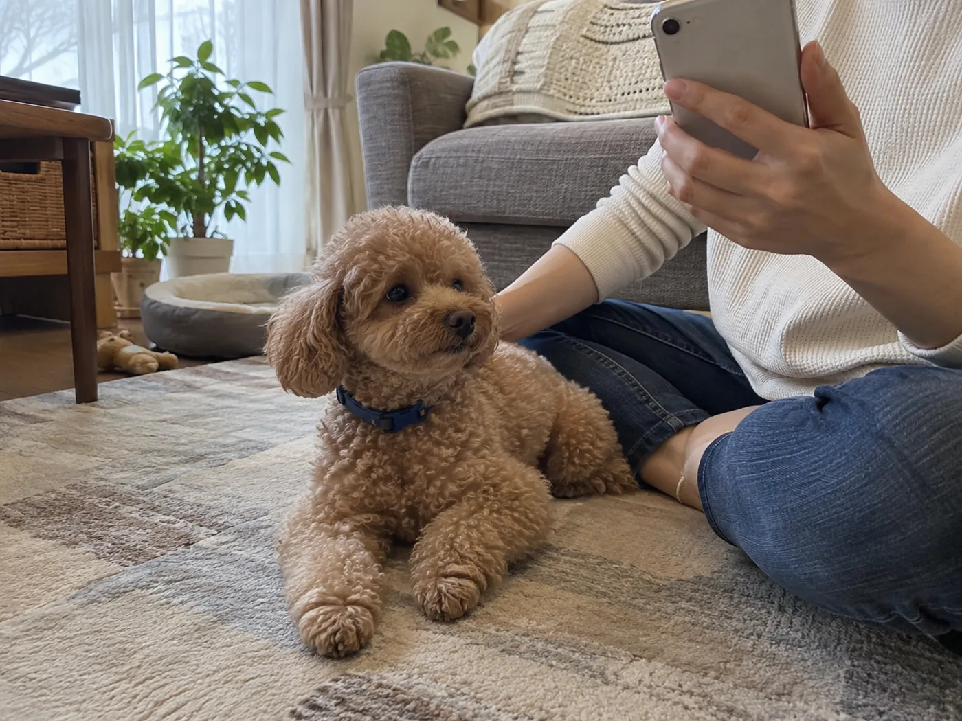 犬の様子を見ながらスマートフォンで連絡する飼い主の手元