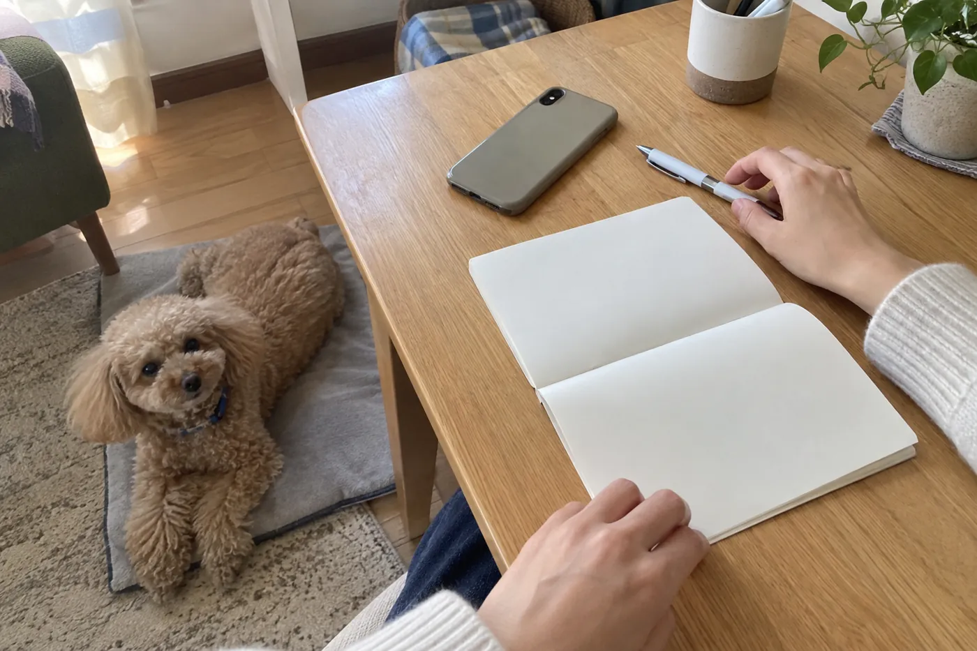 犬のそばで連絡用のメモとスマートフォンを用意する飼い主の手元