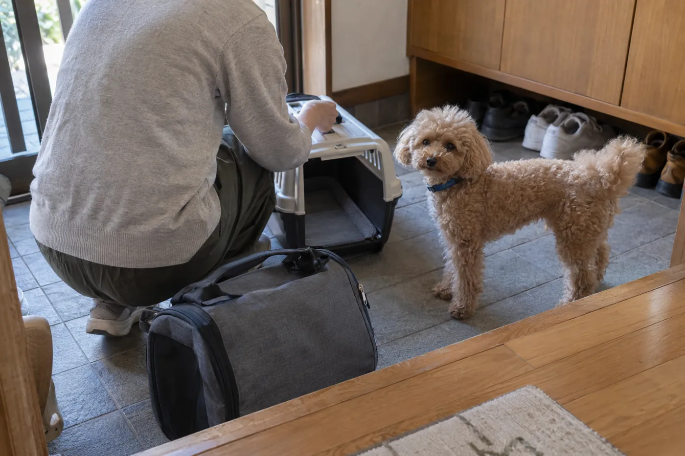 玄関で犬のキャリーと外出用バッグを用意する飼い主の後ろ姿