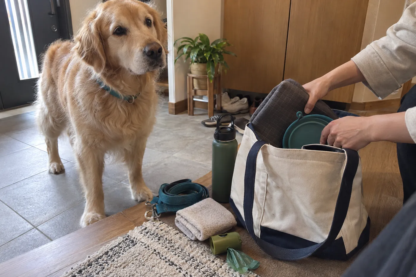 自宅の玄関で犬の外出用バッグに水の器とマットを入れる手元