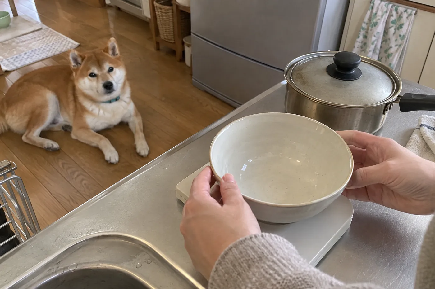 キッチンスケールと調理用の器を用意する飼い主の手元