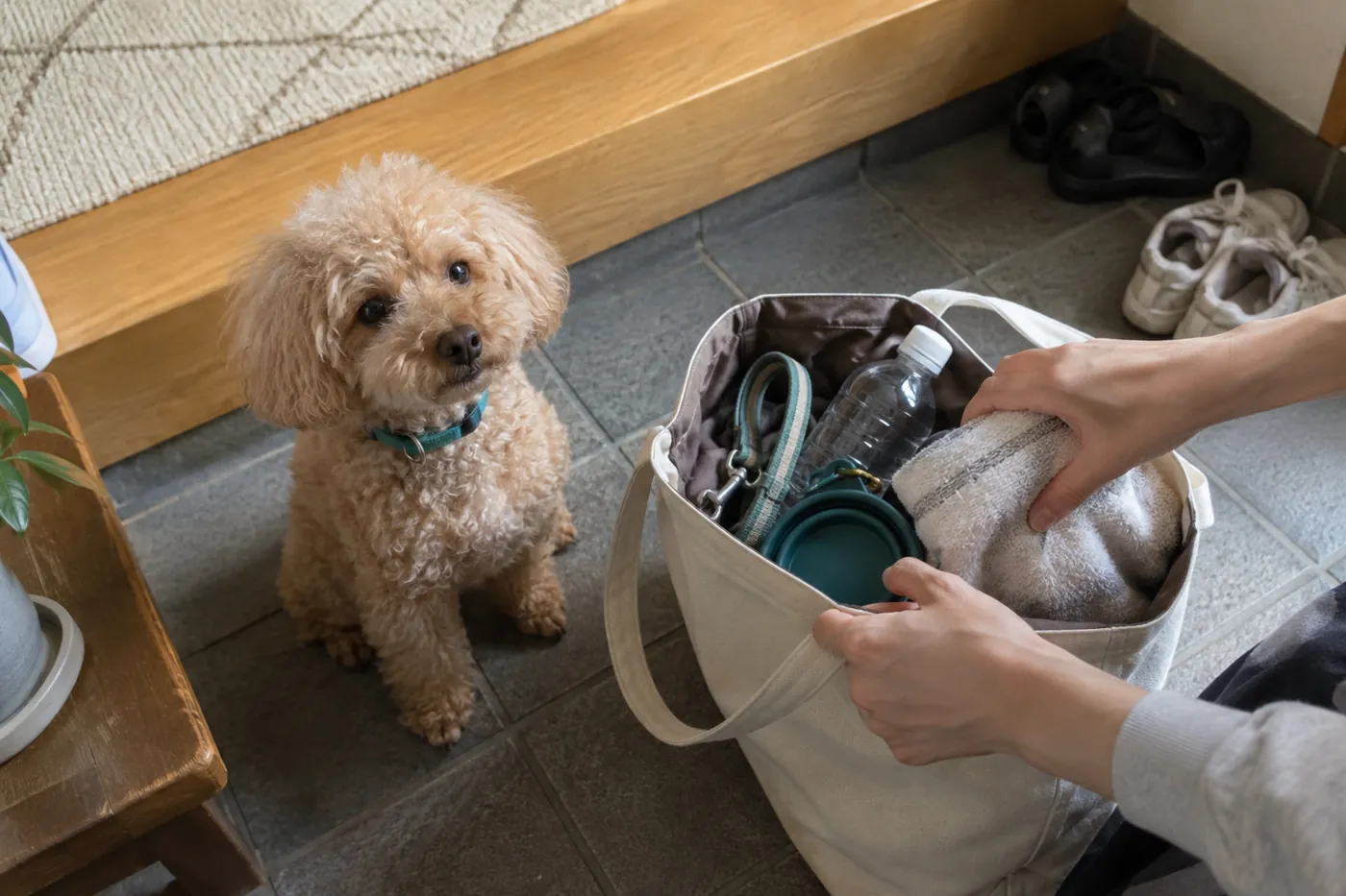 リードやタオル、水の器を準備する飼い主の手元とそばに座る犬