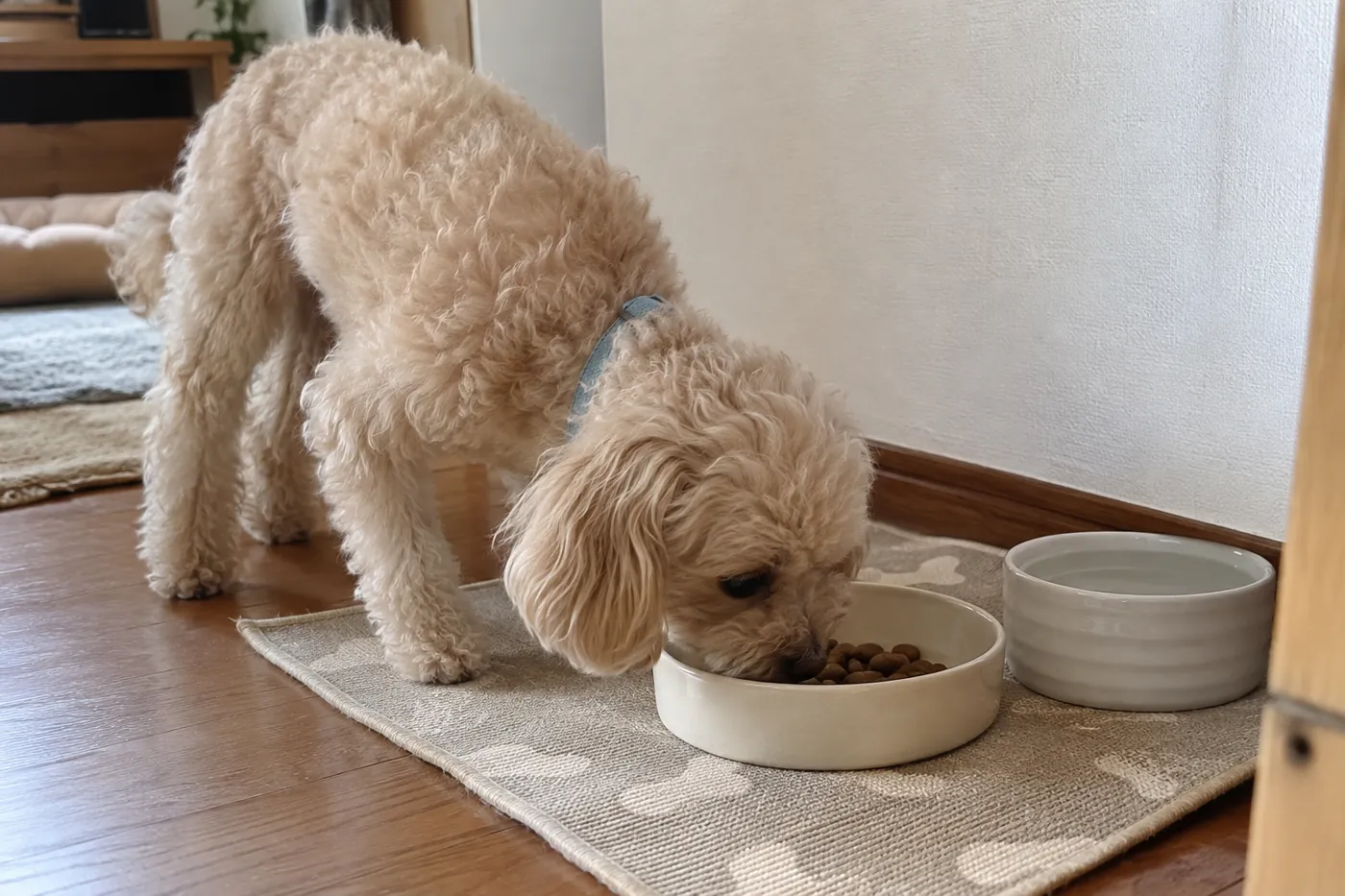 静かな食事スペースでいつものフードを食べる子犬