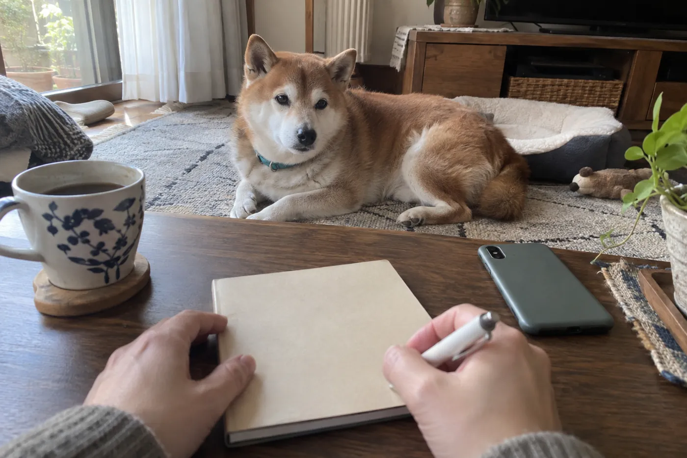 室内で休むシニア犬のそばで飼い主が散歩のメモを用意する手元