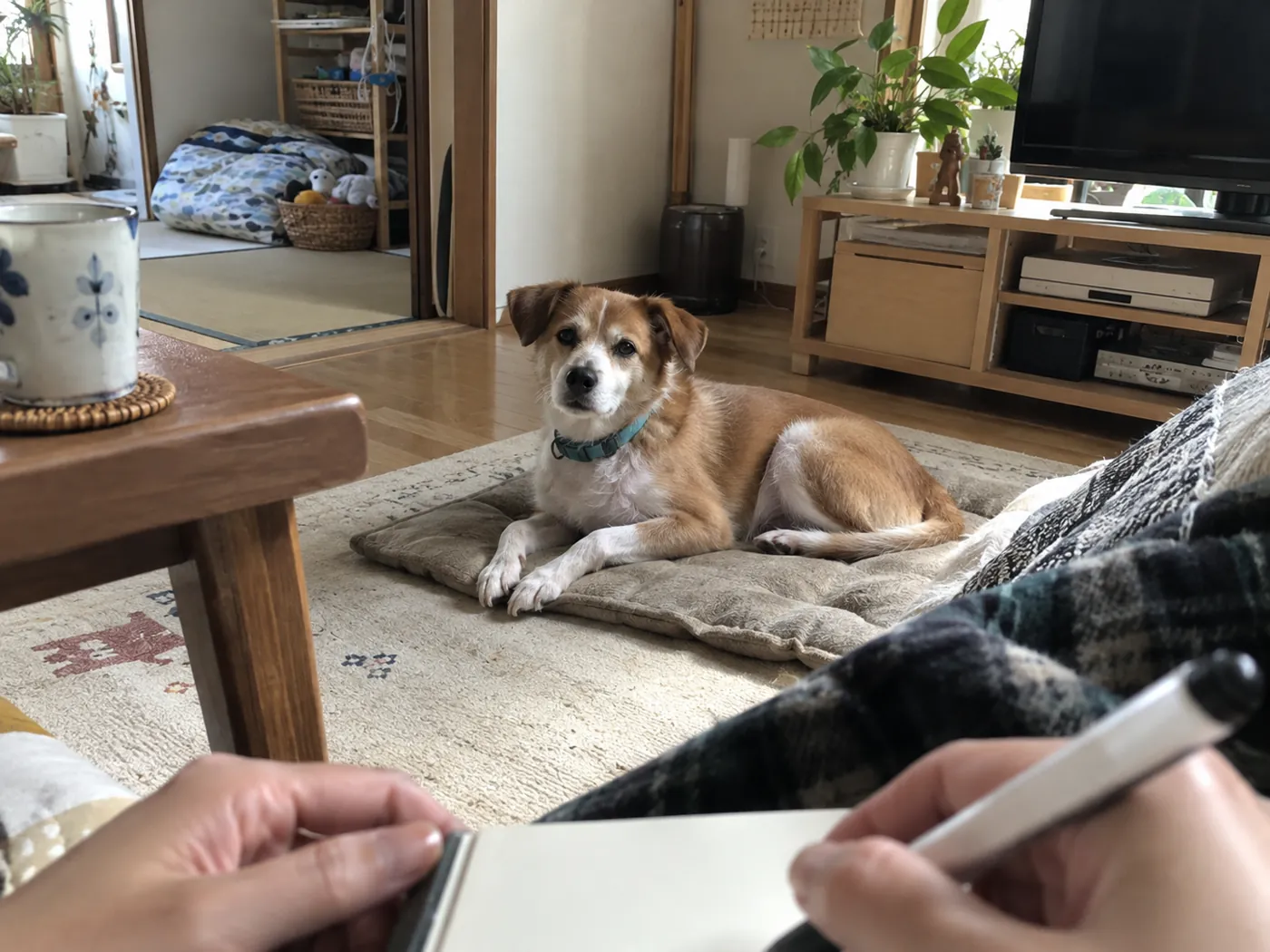 自宅のマットで過ごす犬を少し離れて観察し、メモを取る飼い主の手元